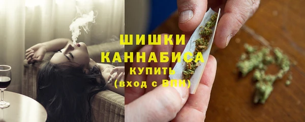 ПСИЛОЦИБИНОВЫЕ ГРИБЫ Лихославль