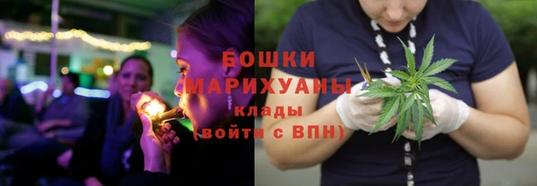 ПСИЛОЦИБИНОВЫЕ ГРИБЫ Лихославль