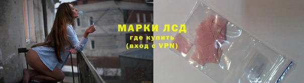ПСИЛОЦИБИНОВЫЕ ГРИБЫ Лихославль