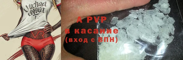 стафф Липки